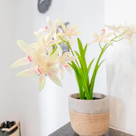 6 Stylish & Comfortable , Heart Of Apartment Ghent