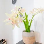 6 Stylish & Comfortable , Heart Of 公寓 根特