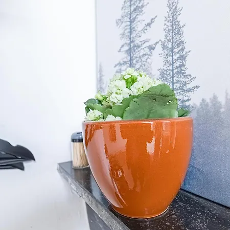 6 Stylish & Comfortable , Heart Of דירה *