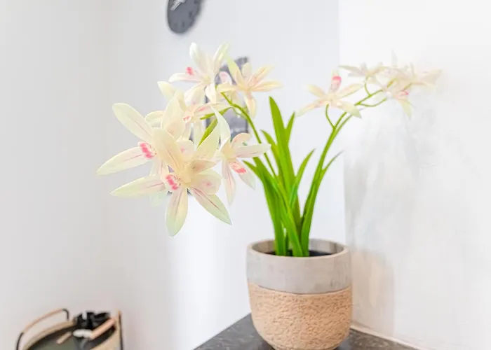 6 Stylish & Comfortable , Heart Of Apartamento Gante